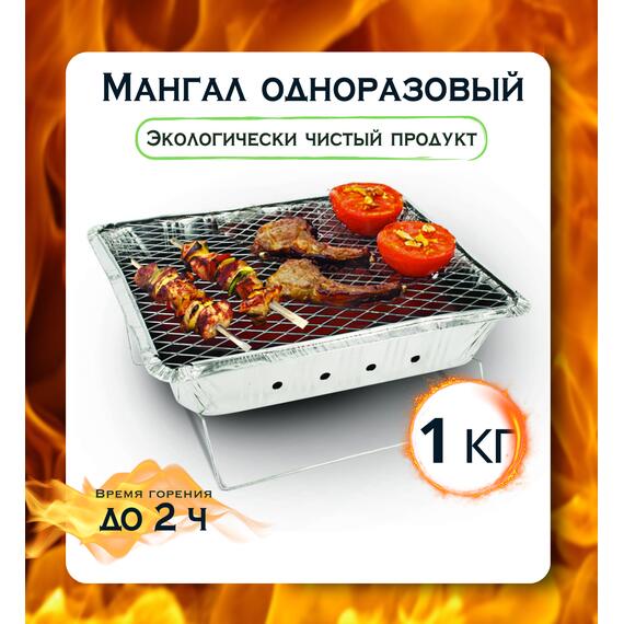 Мангал одноразовый Bay 1кг, фото 