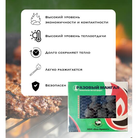 Мангал одноразовый Bay 1кг, фото , изображение 2