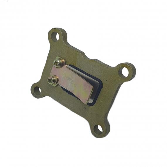 ЛЕПЕСТКОВЫЙ КЛАПАН, фото 