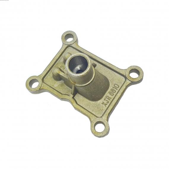 ЛЕПЕСТКОВЫЙ КЛАПАН, фото , изображение 2