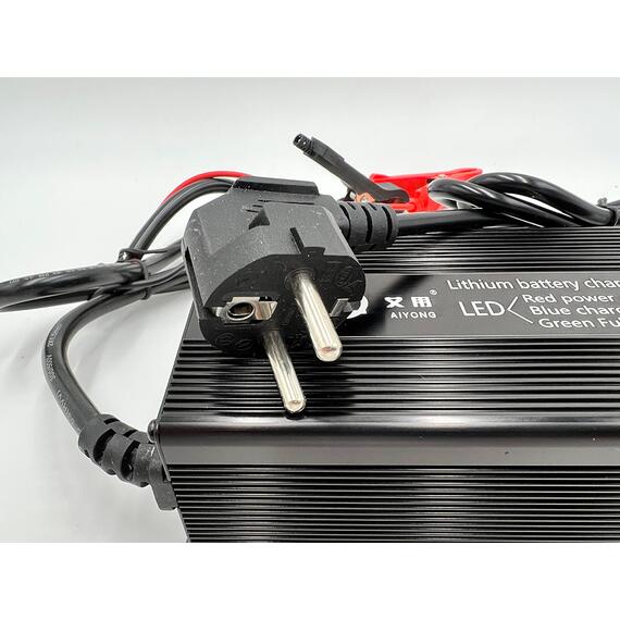 Зарядное устройство BatteryCraft Lifepo4 12V 20А, фото , изображение 4