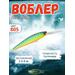 Воблер TsuYoki HIRU 90SP 805, Цвет.: 805, Вес воблера (г): 13, Длина воблера (мм): 90, фото 